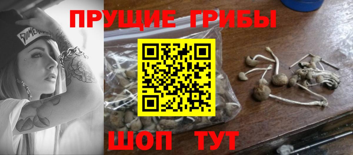 Псилоцибиновые грибы Magic Shrooms Королёв