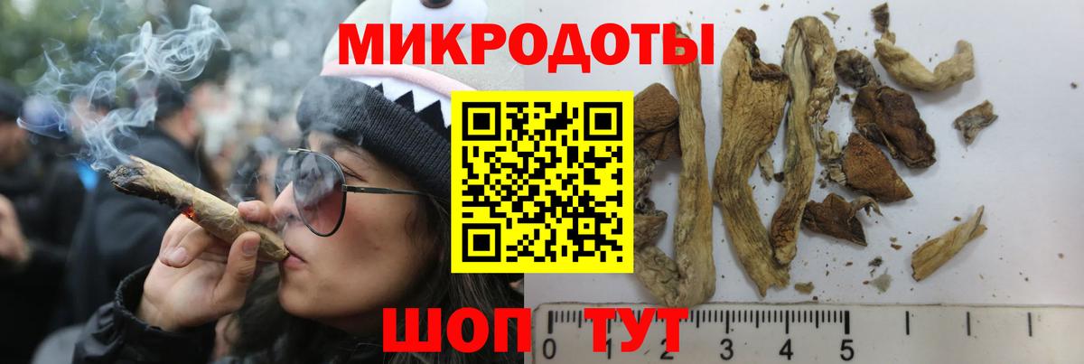 Королёв  Галлюциногенные грибы Psilocybine cubensis  купить наркотик  Вход с VPN 